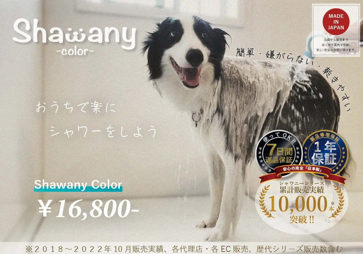 シャワニーのご紹介