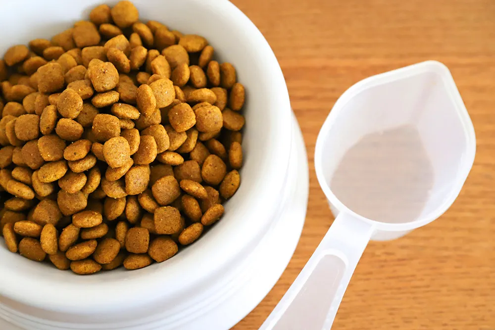 スタッフがお客様の疑問にお答え