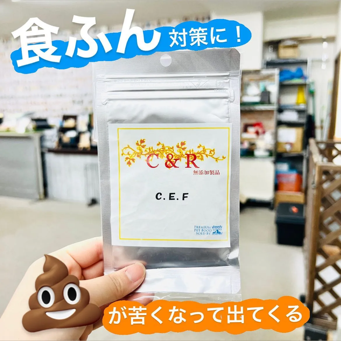 食ふん💩対策に‼️