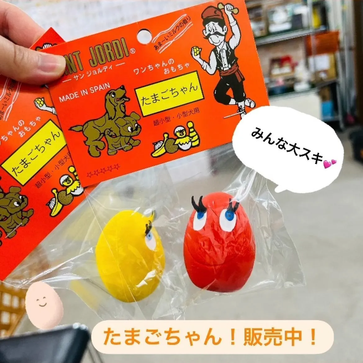 わんこのおもちゃ🐾