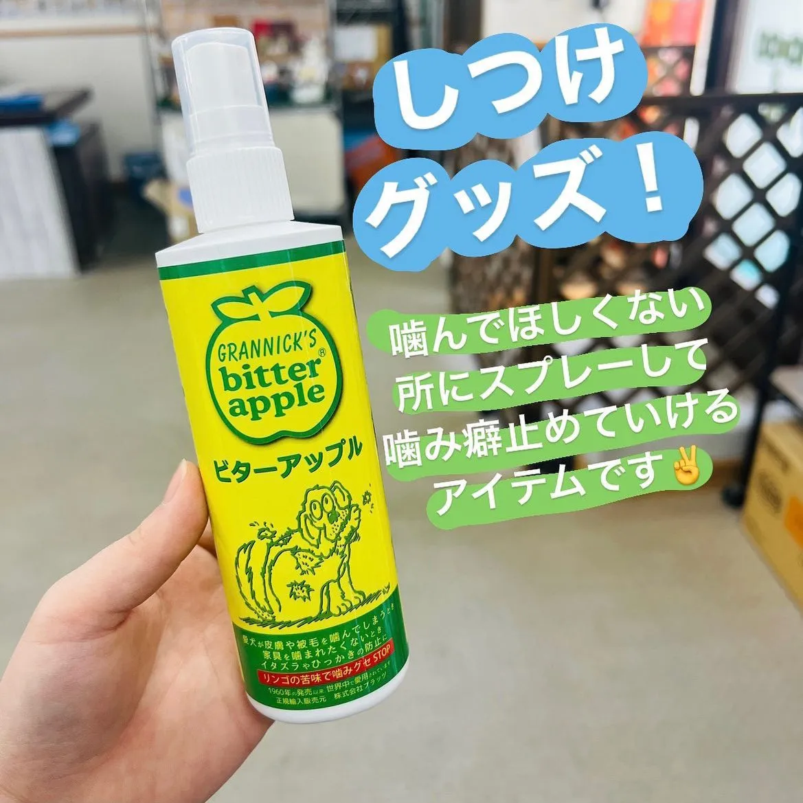 しつけグッズ‼️