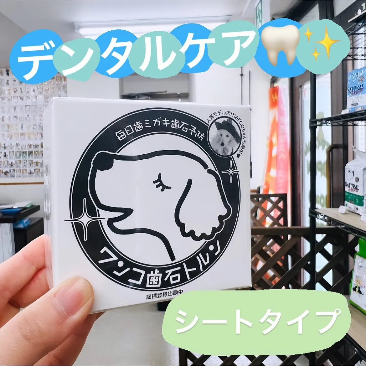 わんこのデンタルケア🦷✨