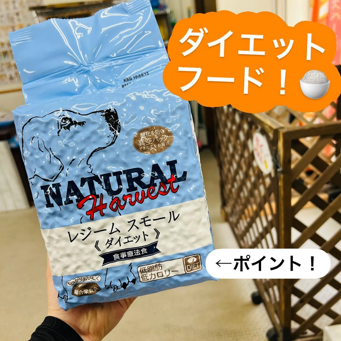 ドッグフード のご紹介✨