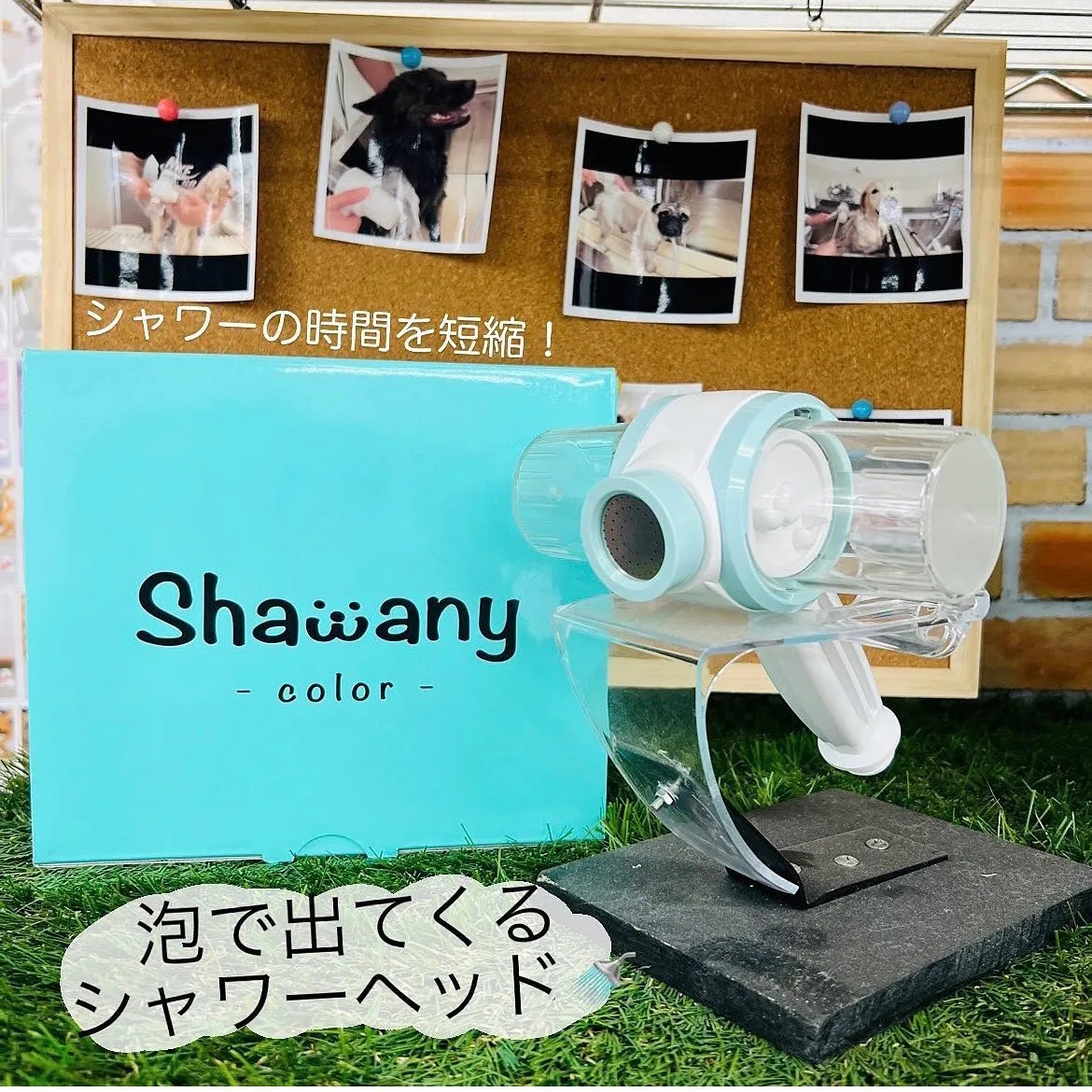 ペットのお手入れに！シャワーヘッド🚿