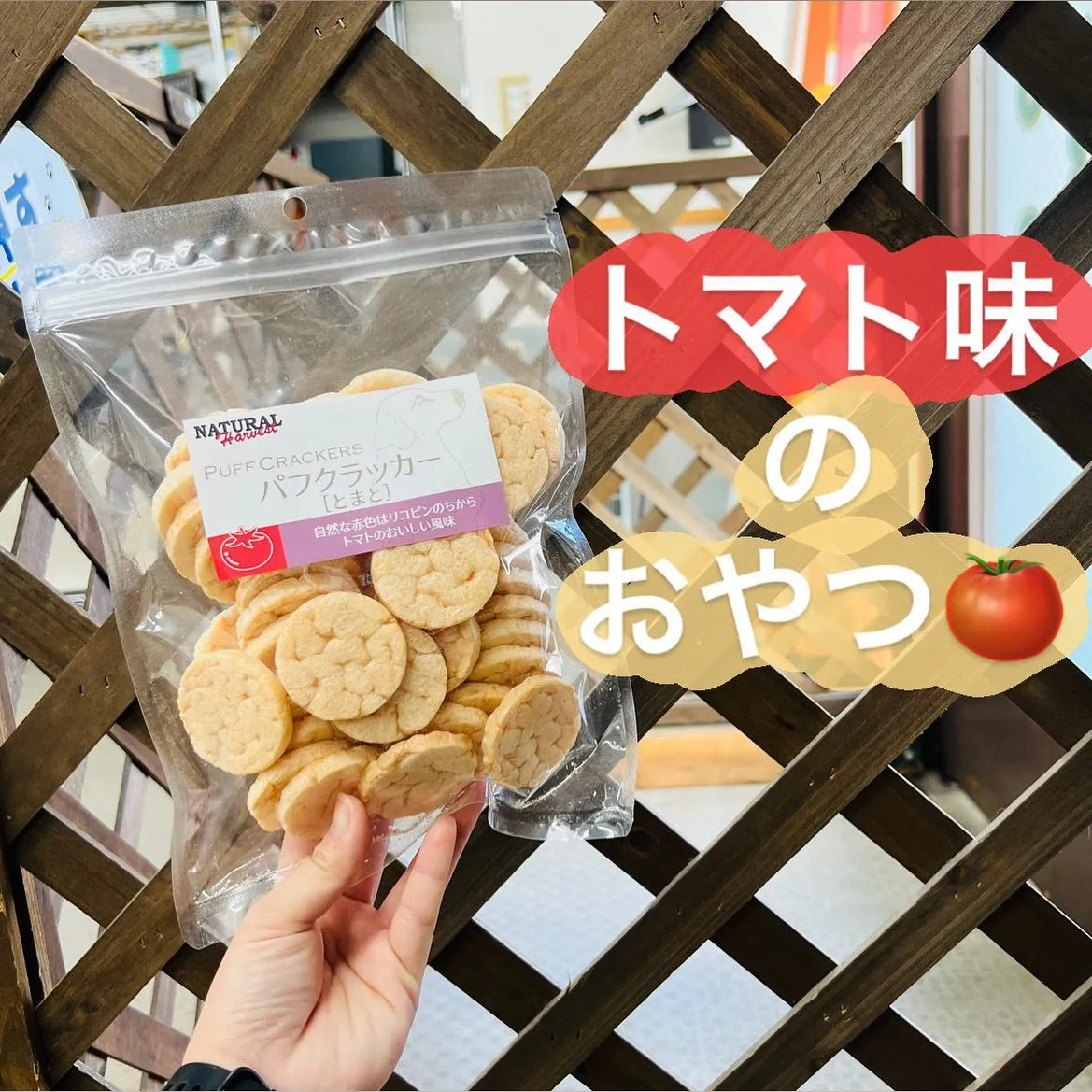 わんこのおやつ🐾