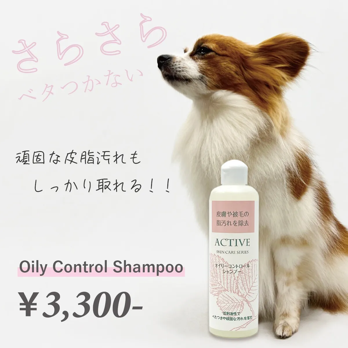 【アジル】オイリーコントロールシャンプー