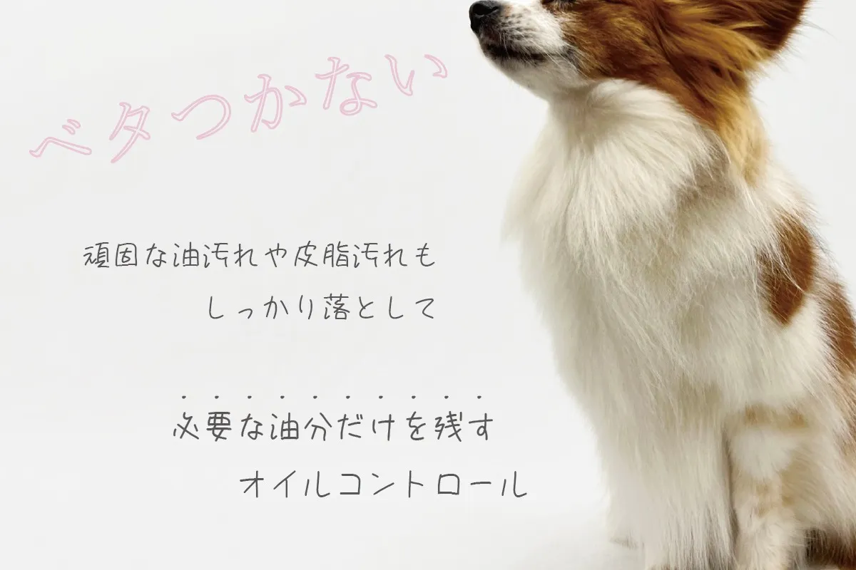 【アジル】オイリーコントロールシャンプー
