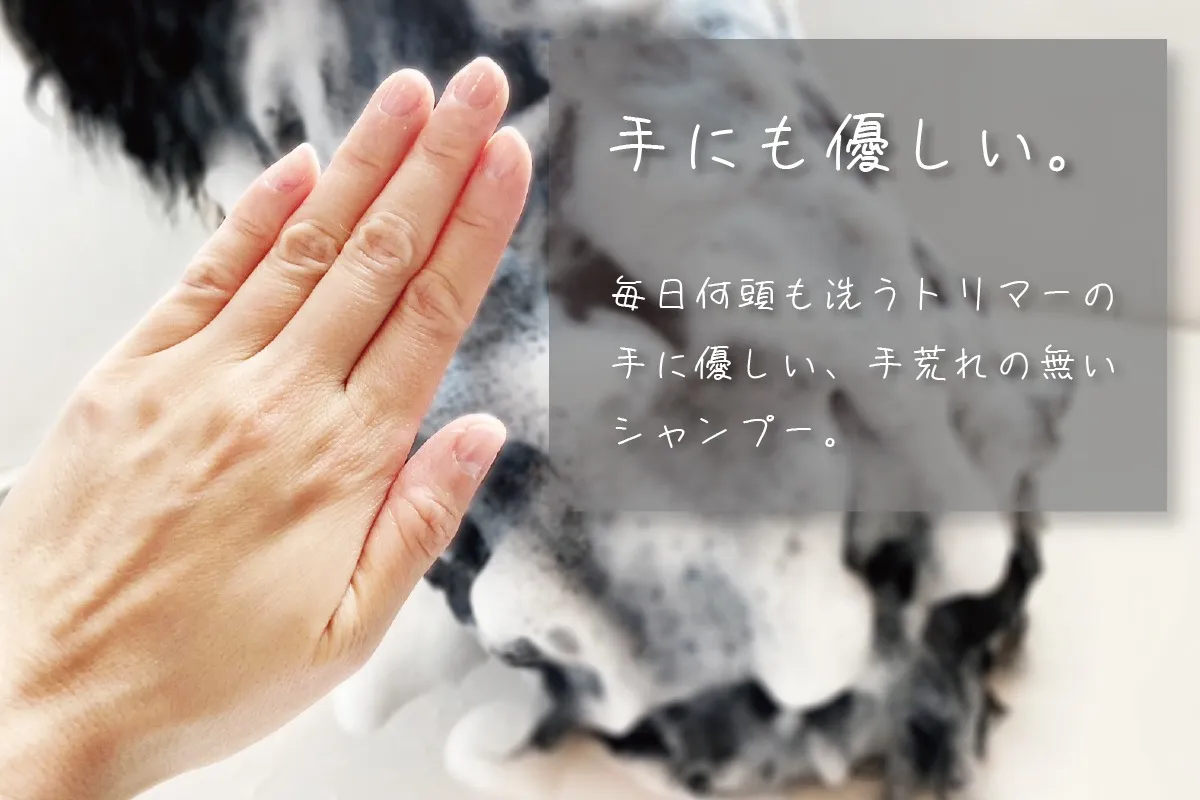 【アジル】オイリーコントロールシャンプー