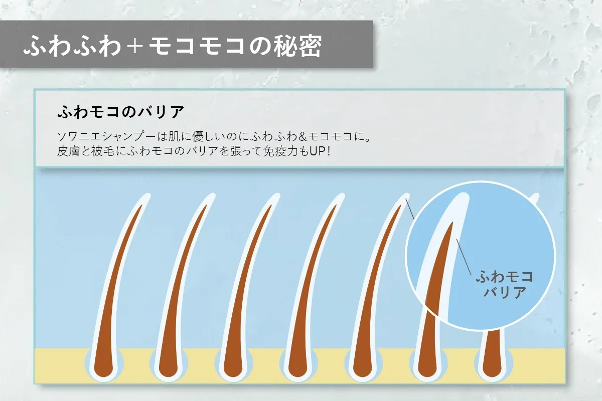 【アジル】ソワニエマイルドシャンプー