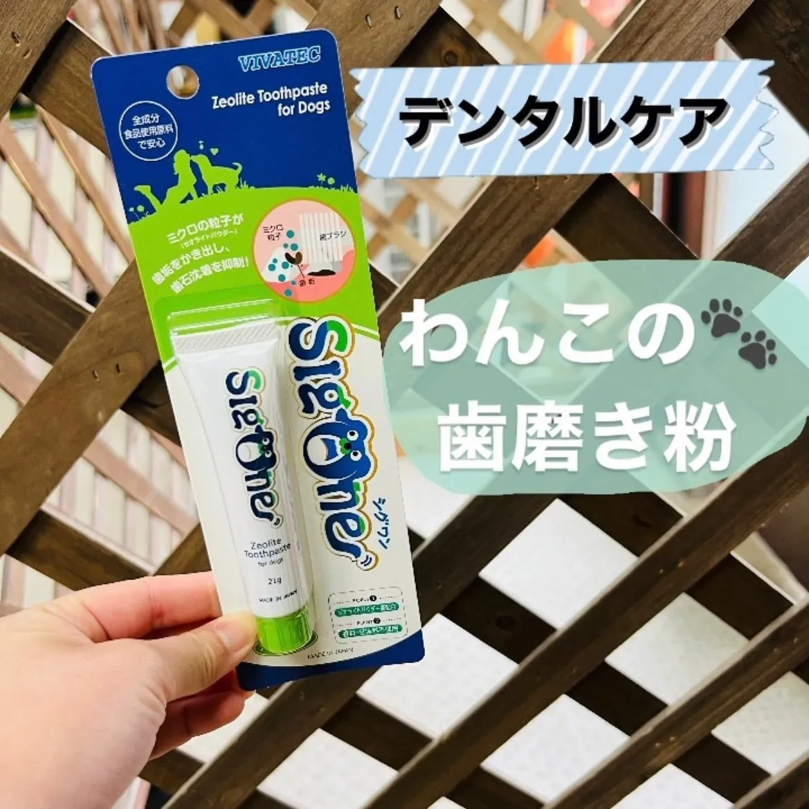 デンタルケア🦷✨