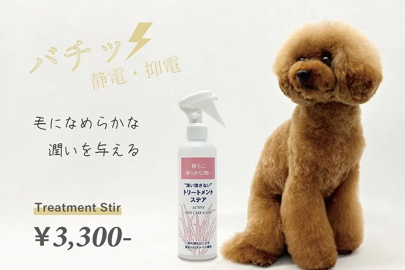 お手入れグッズ✨