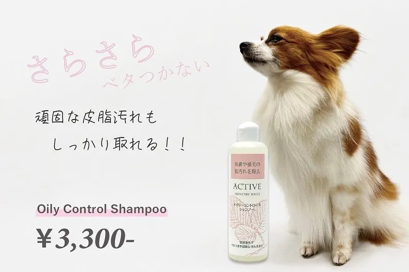 オススメシャンプー🧴🫧