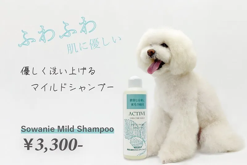 オススメシャンプー🧴🫧②