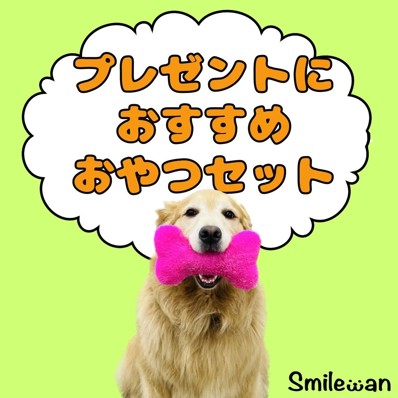 わんこのギフト🎁