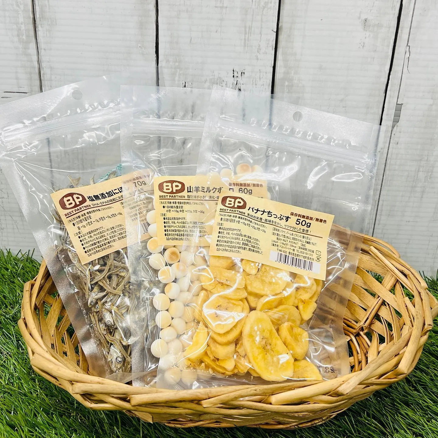 わんこのギフト🎁