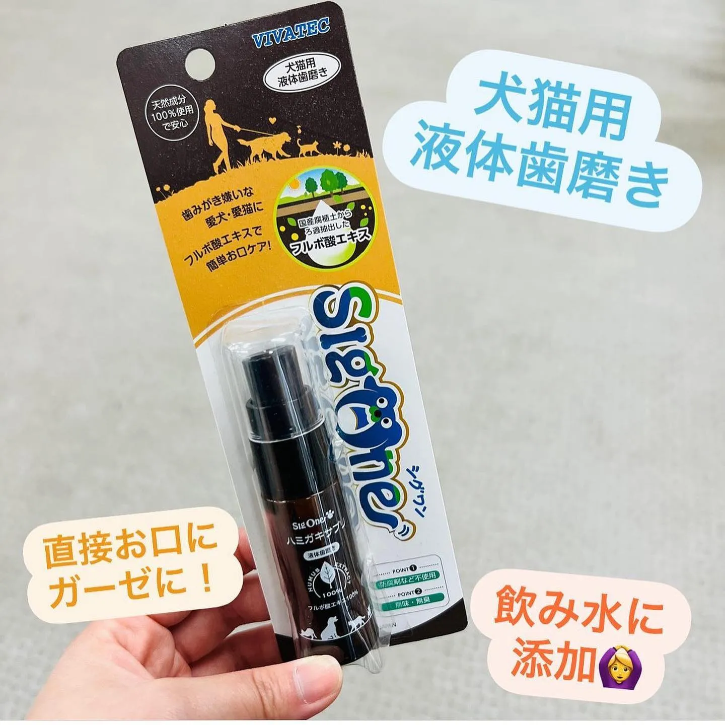 デンタルケア🦷✨