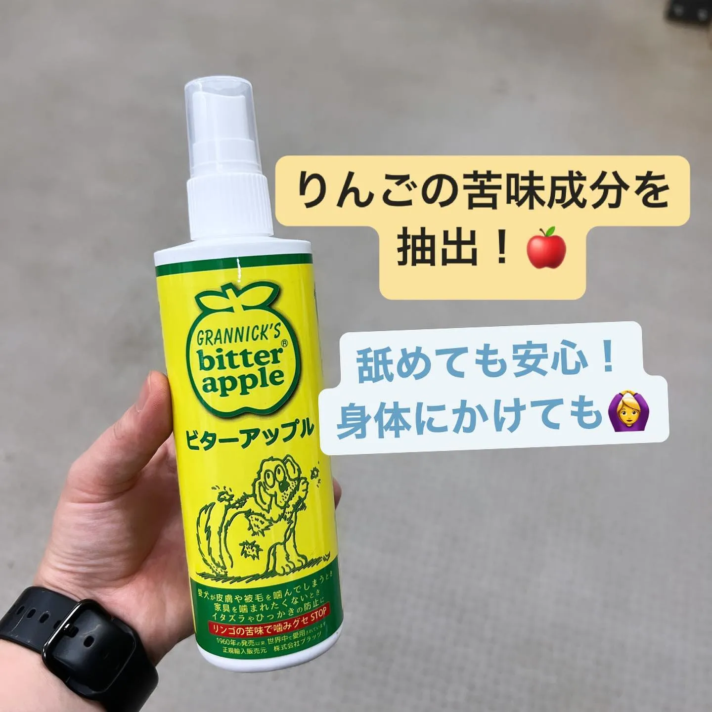 しつけグッズ‼️