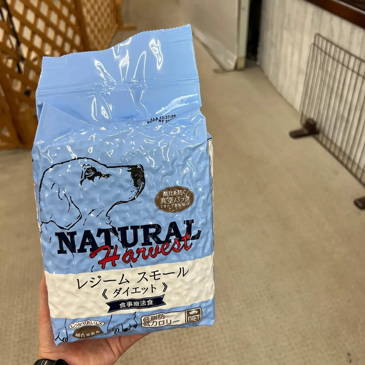 ドッグフード のご紹介✨