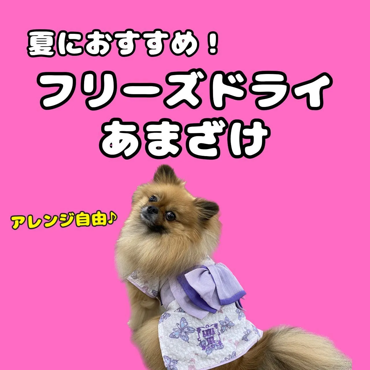 腸内環境改善🐾