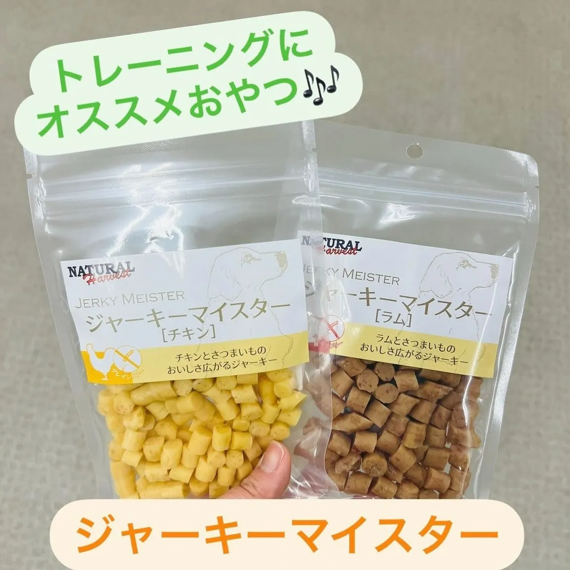 わんこのおやつ🎶【ジャーキーマイスター】