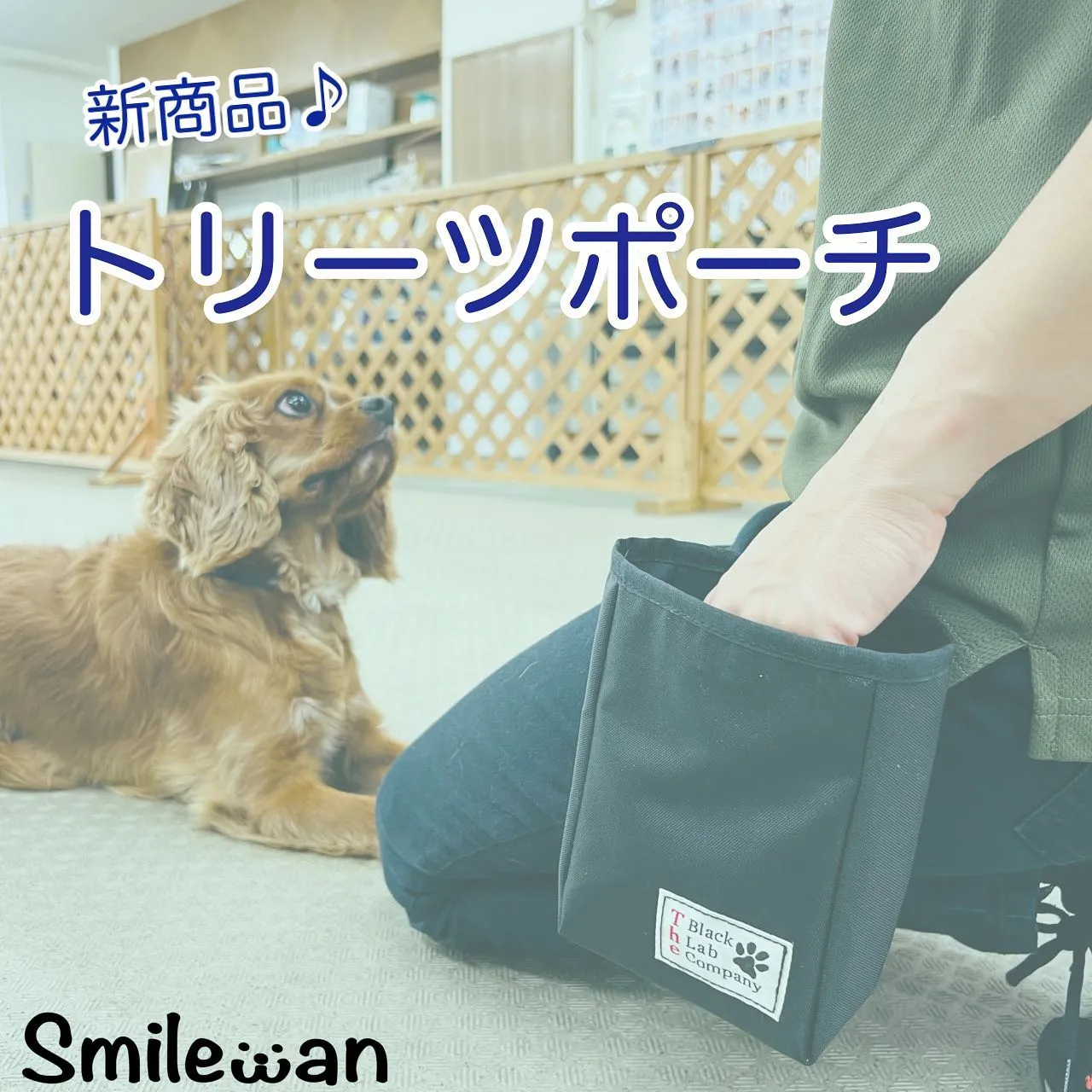 トレーニンググッズ🐾