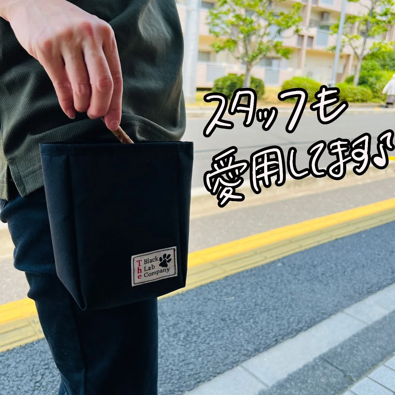 トレーニンググッズ🐾