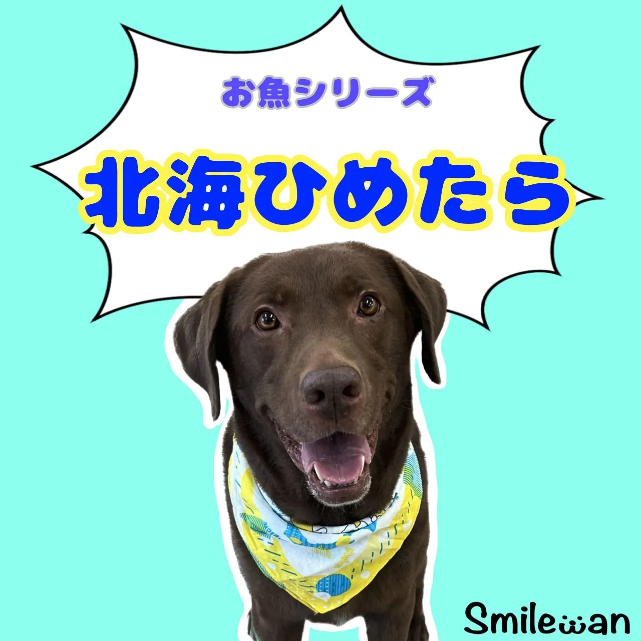 お魚シリーズおやつ🐾