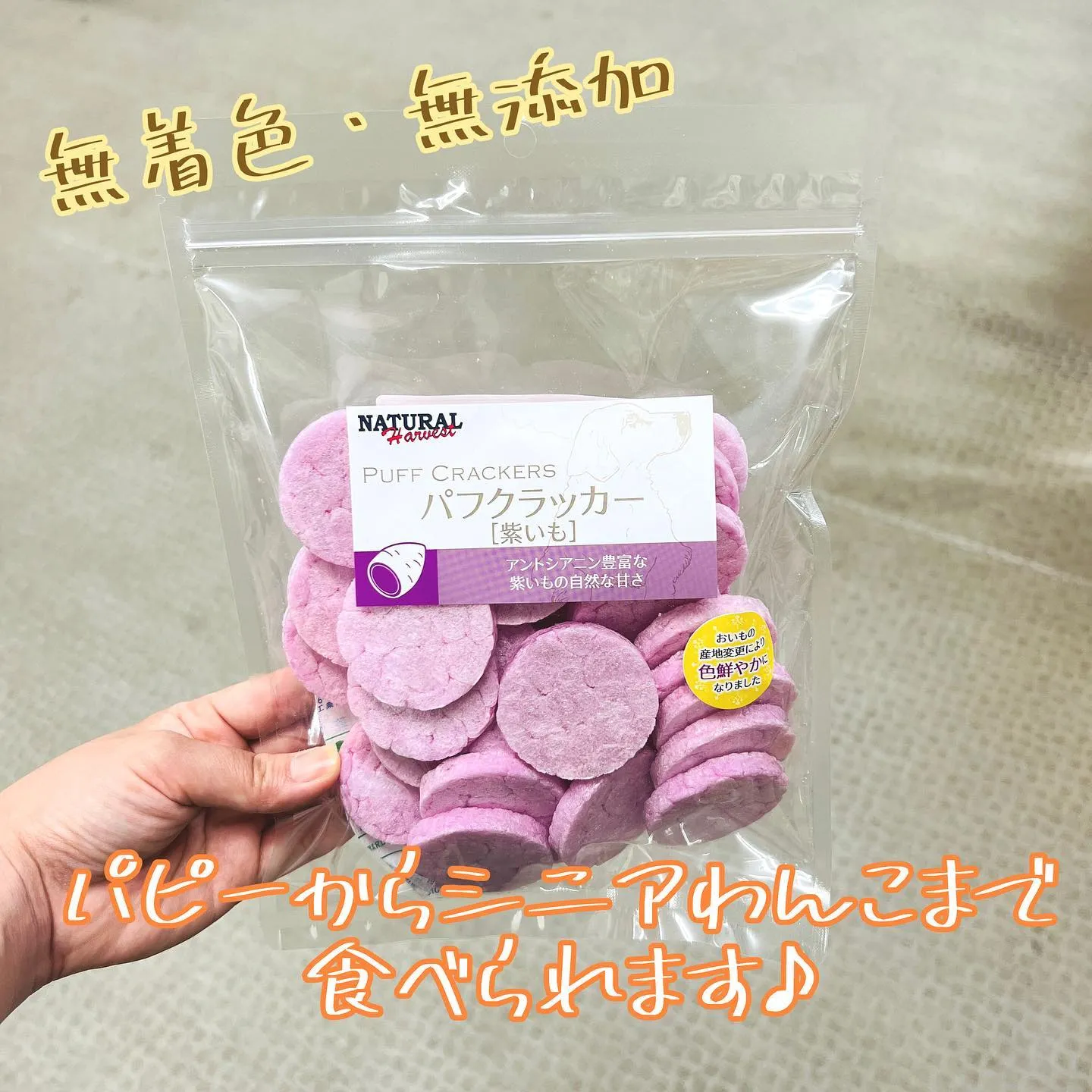 わんこのおやつ🐾