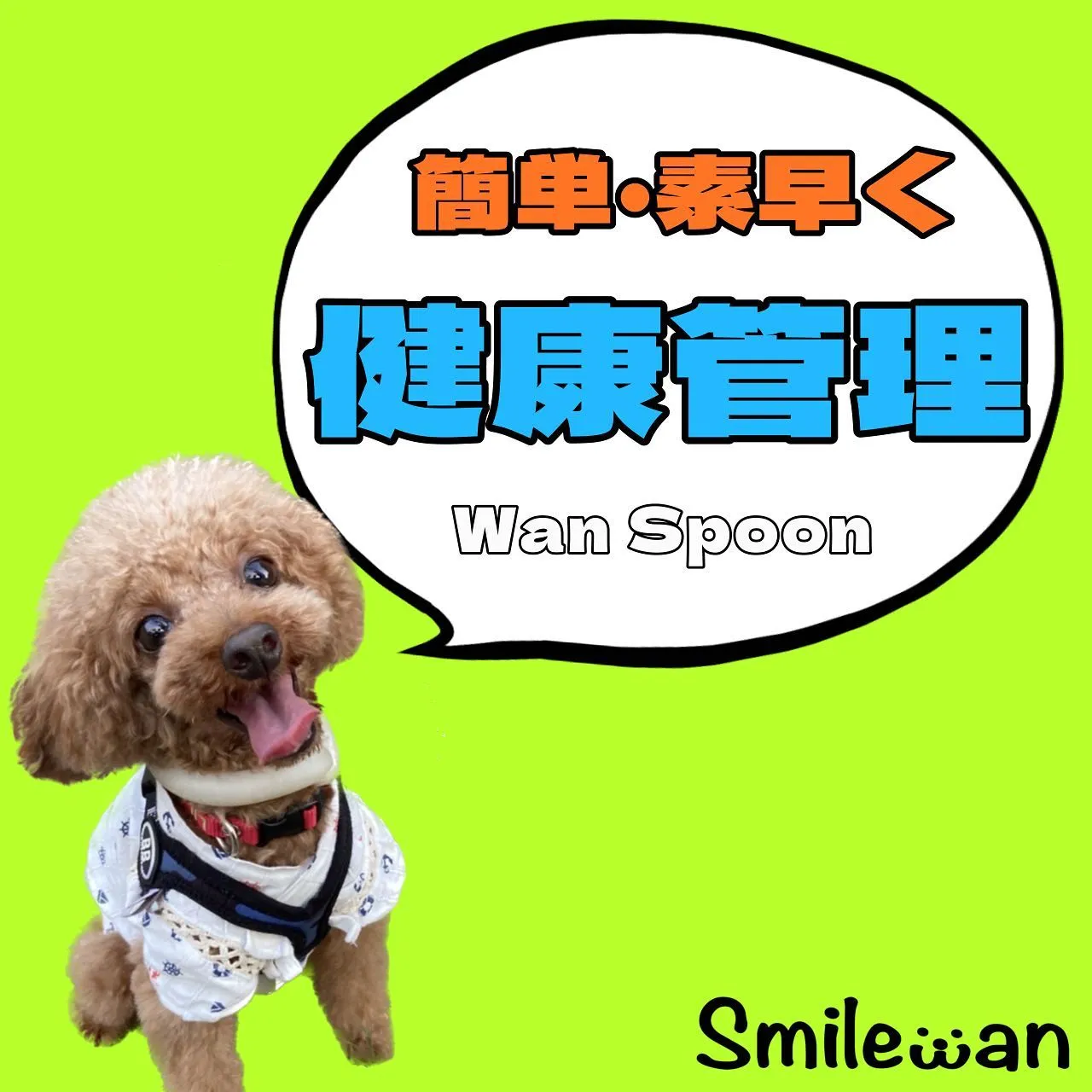 おすすめグッズ紹介✨