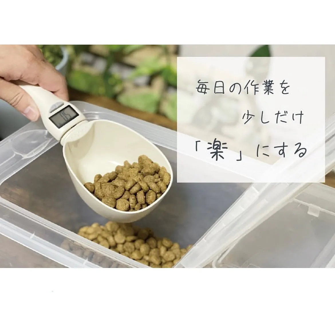 おすすめグッズ紹介✨