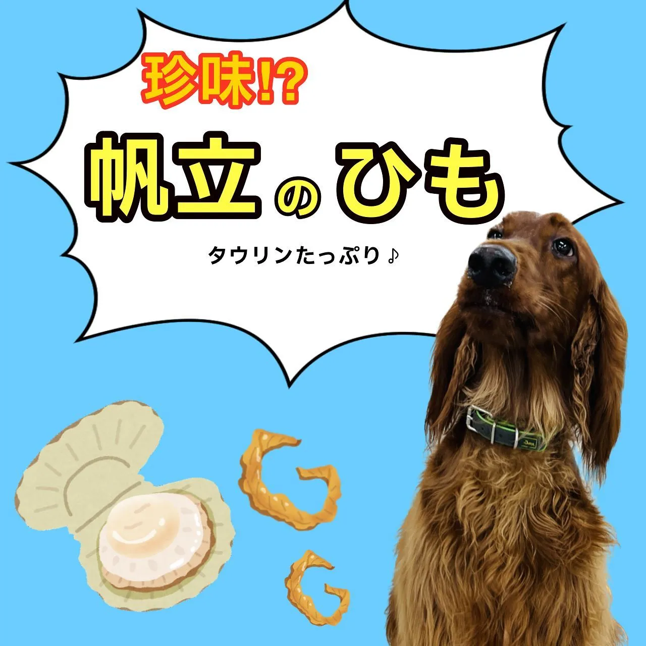 わんこのおやつ