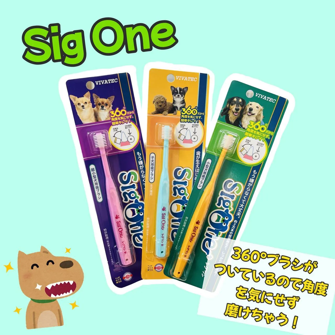 デンタルケア🦷🪥✨