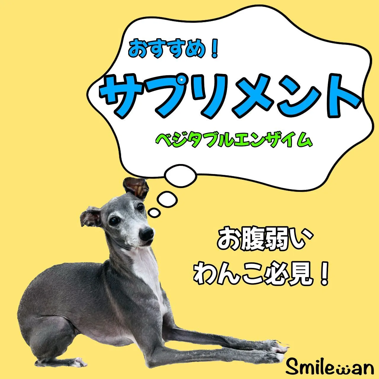 わんこのサプリメント✨