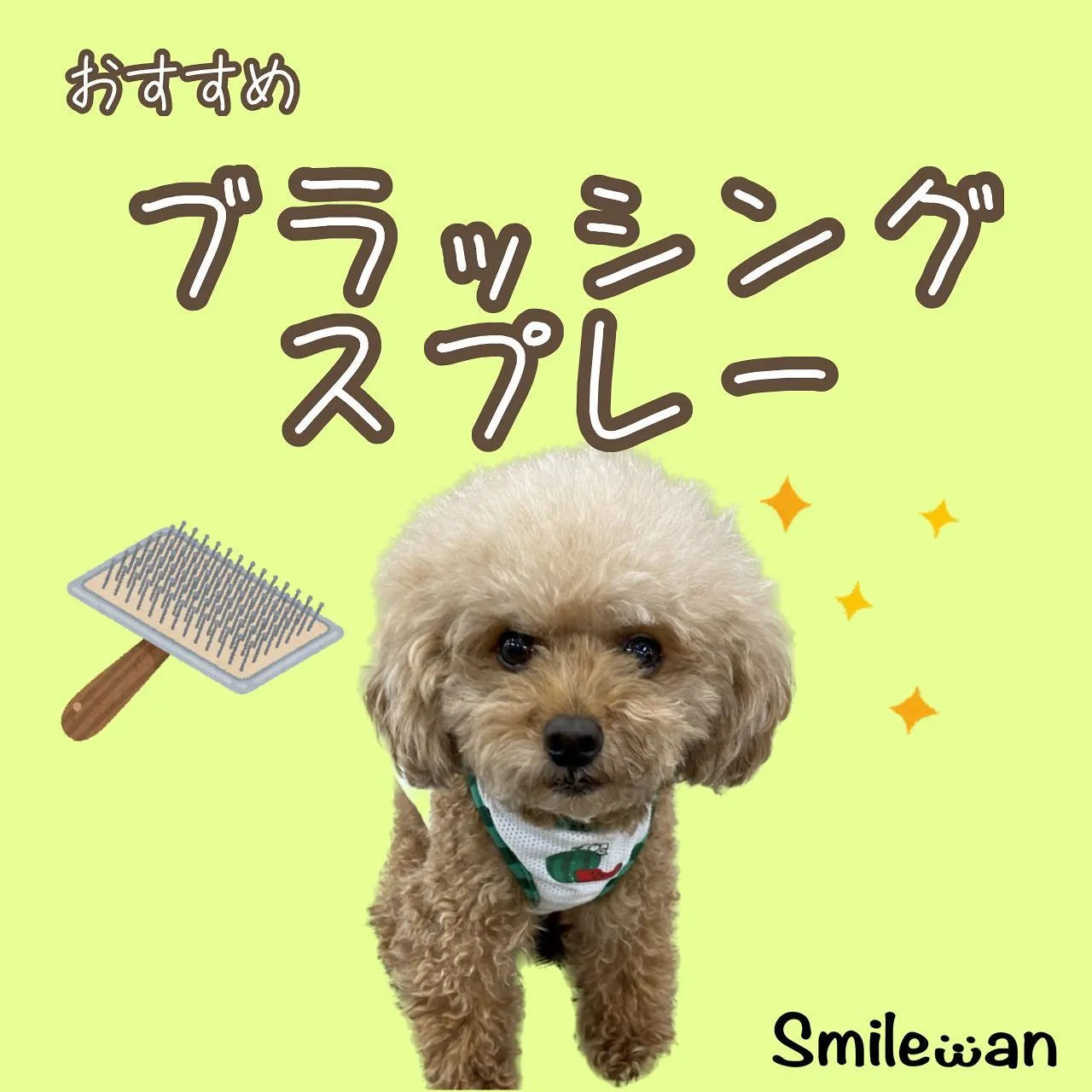 お手入れグッズ✨