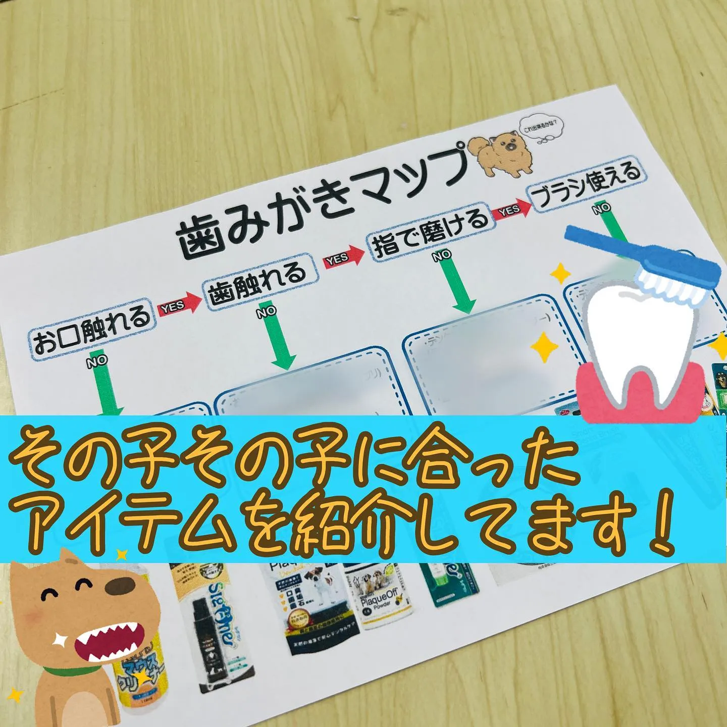 スマイルわんのお店で歯磨きマップを作成しました🦷🪥