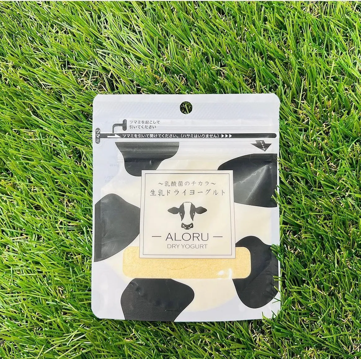 わんこのヨーグルト🐮