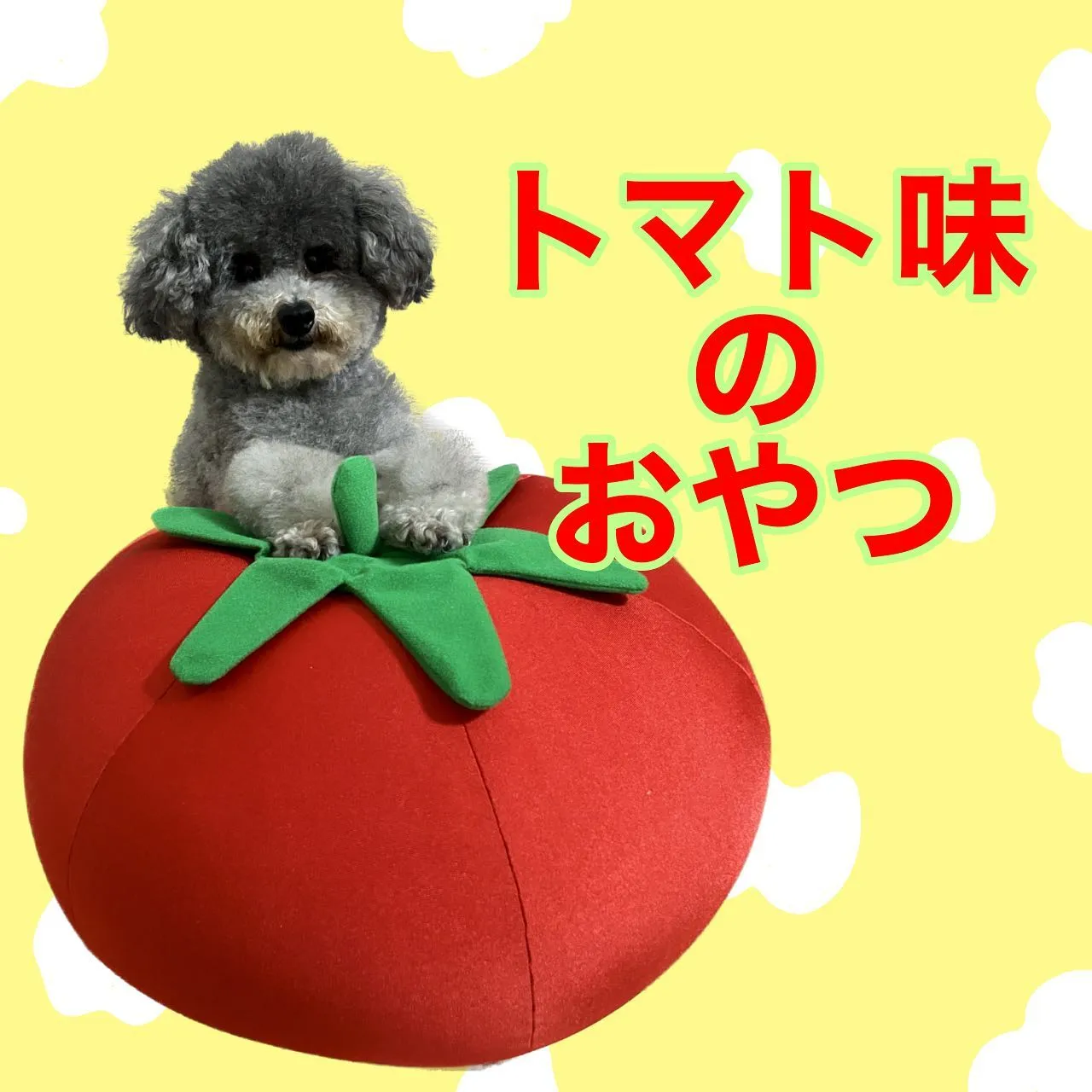 わんこのおやつ🐾