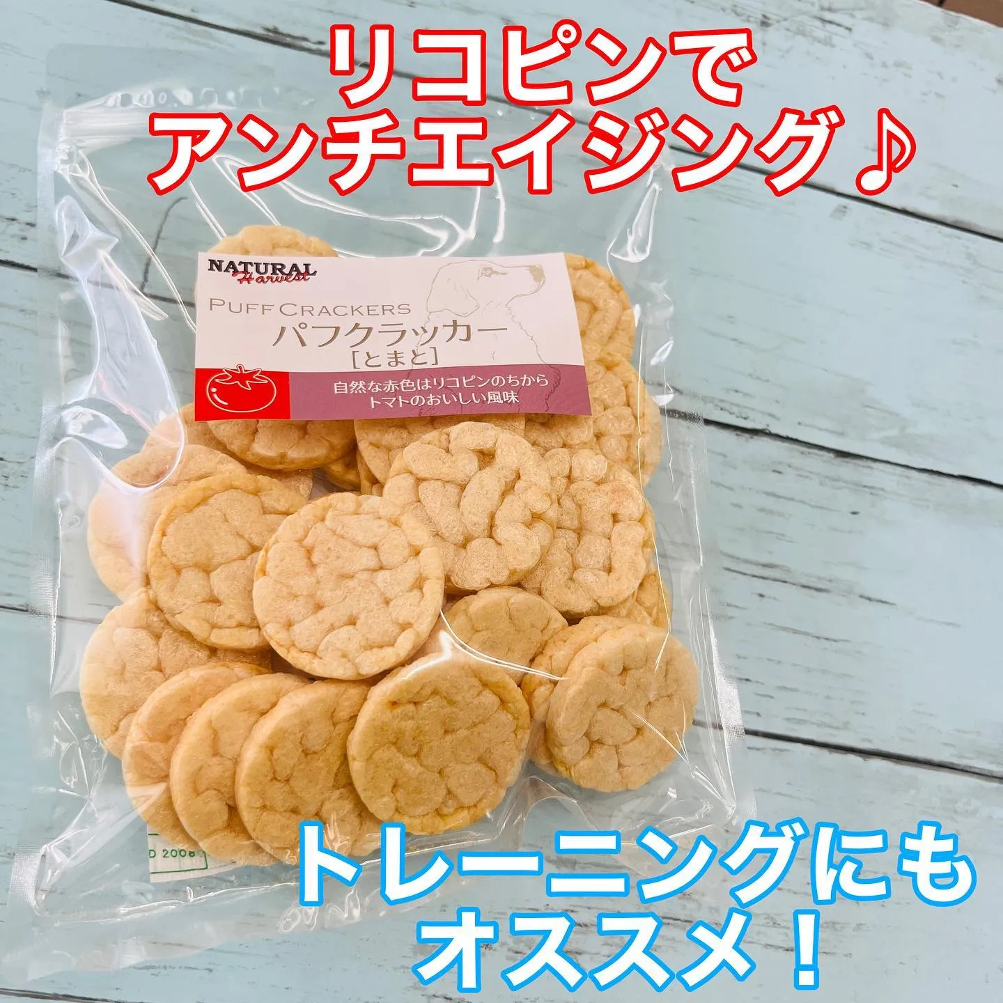 わんこのおやつ🐾