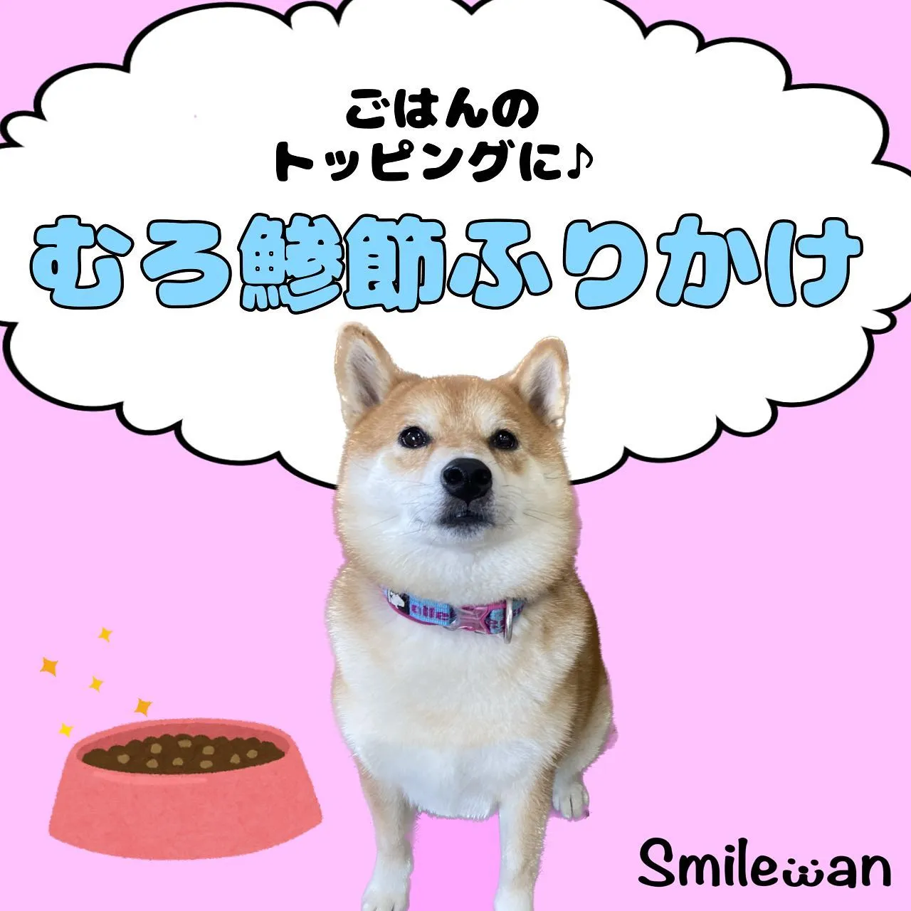 わんこのふりかけ🍚🐟