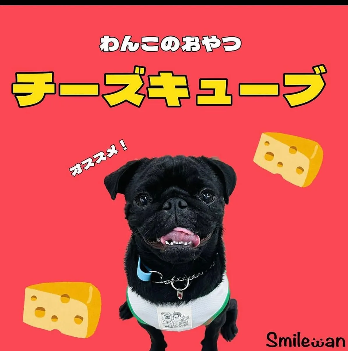 わんこのおやつ🎶