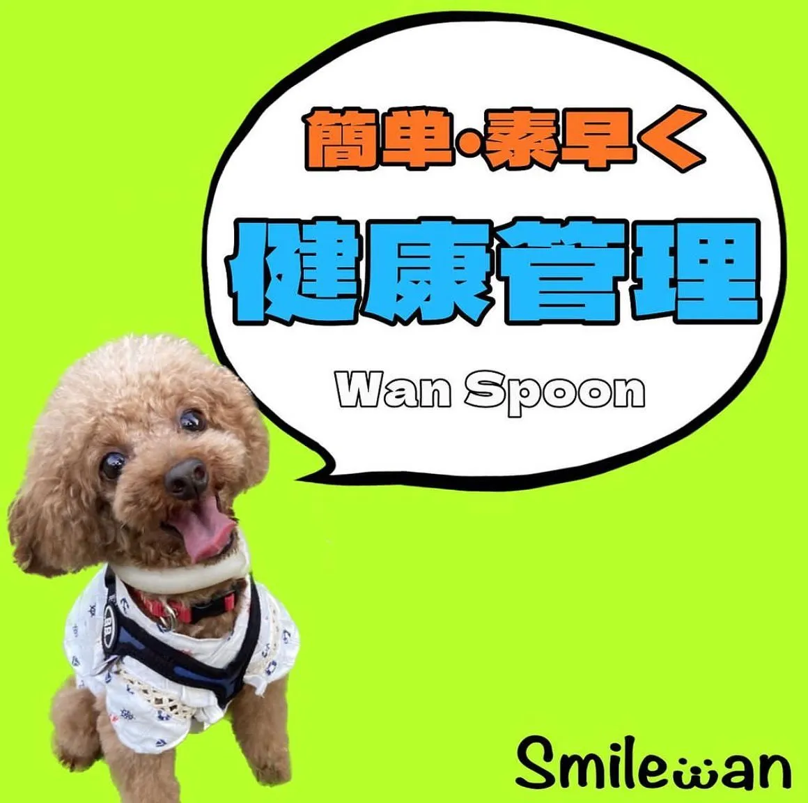 おすすめグッズ紹介✨