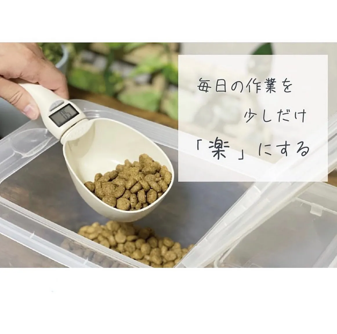 おすすめグッズ紹介✨