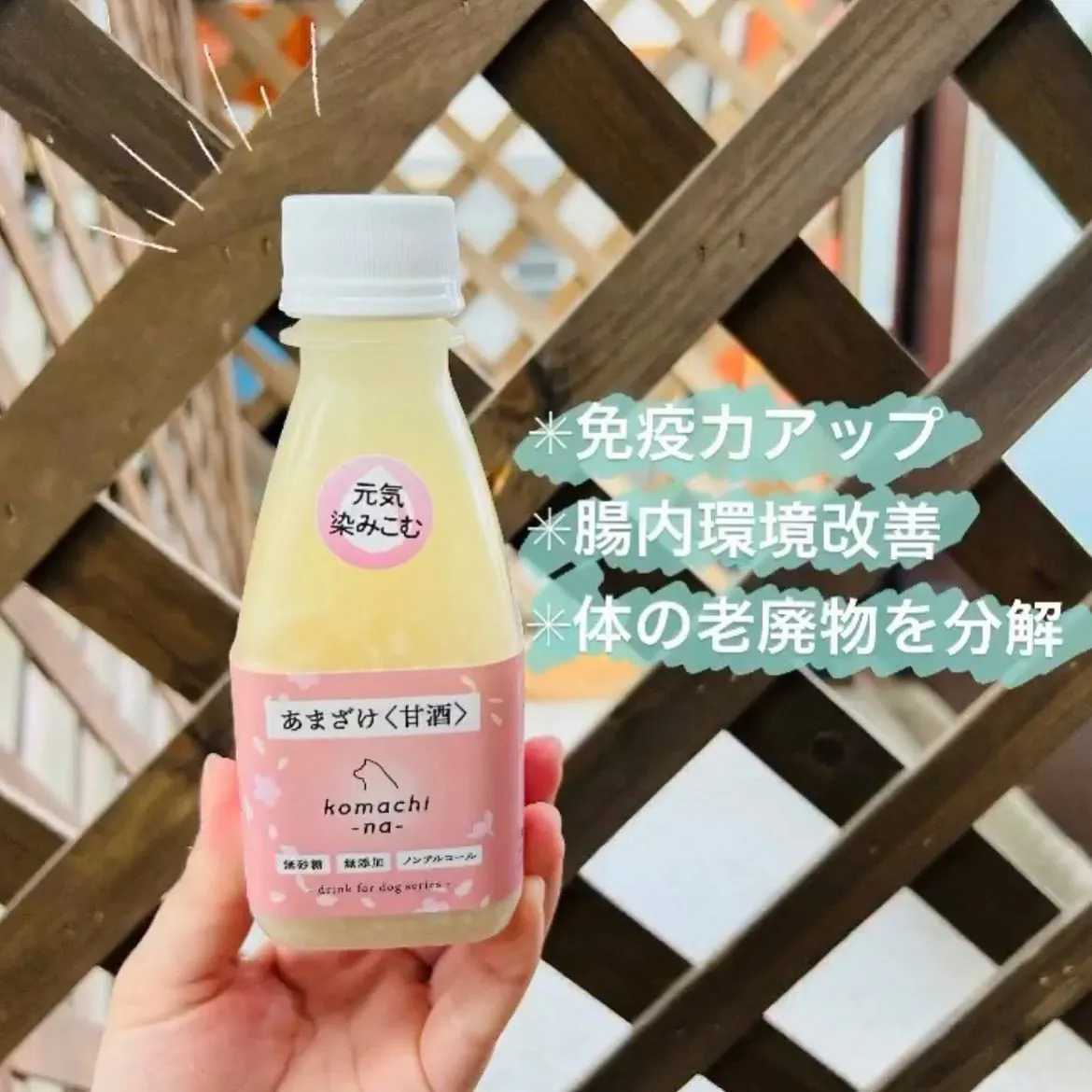 免疫力アップ💪