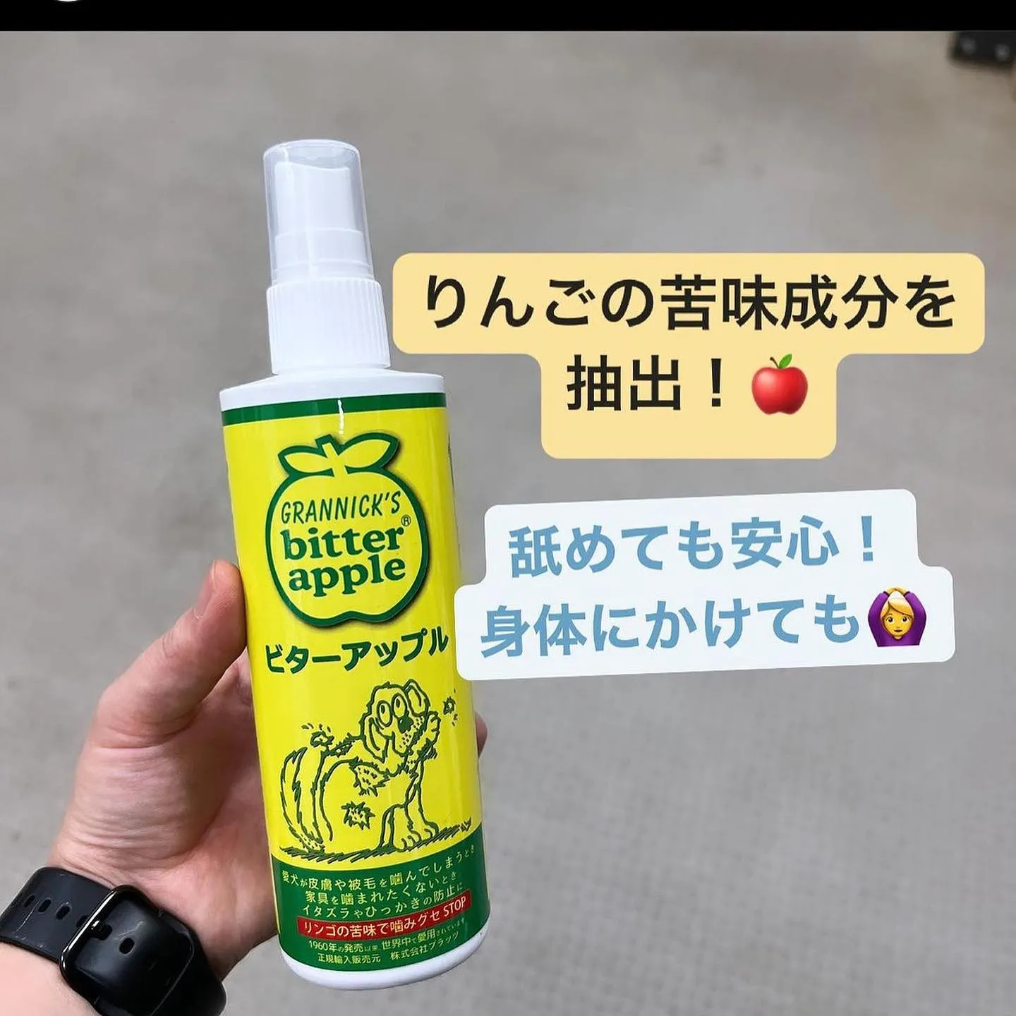 しつけグッズ‼️