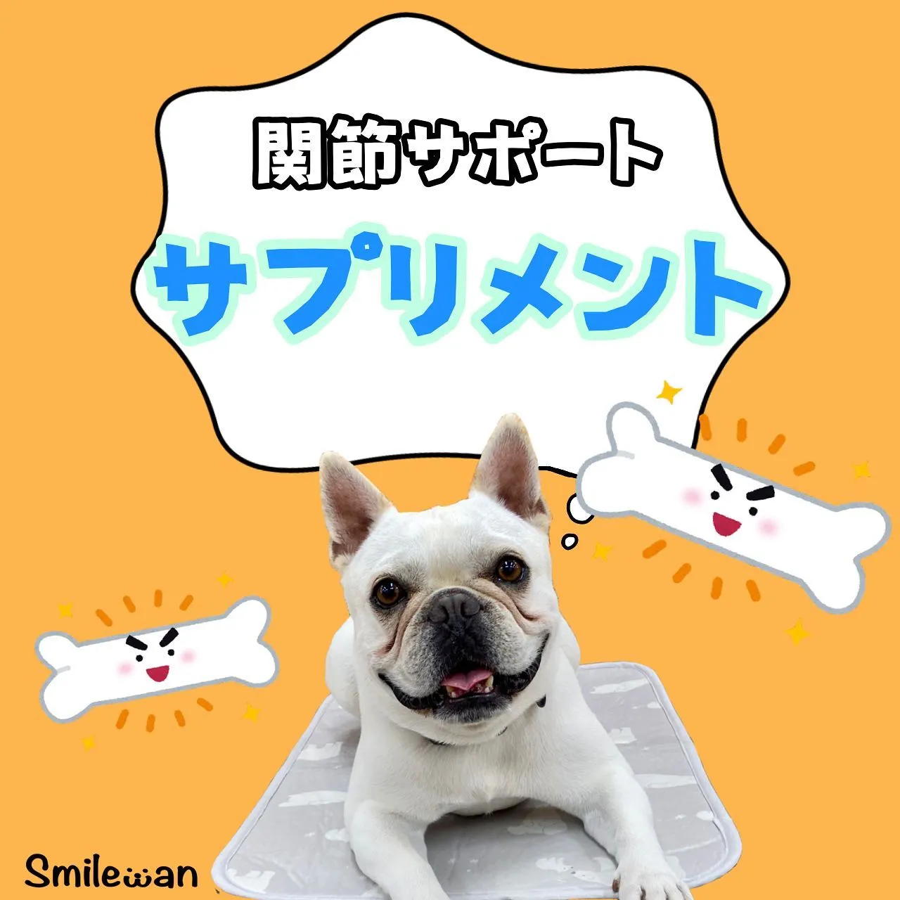 関節サポート！🦴