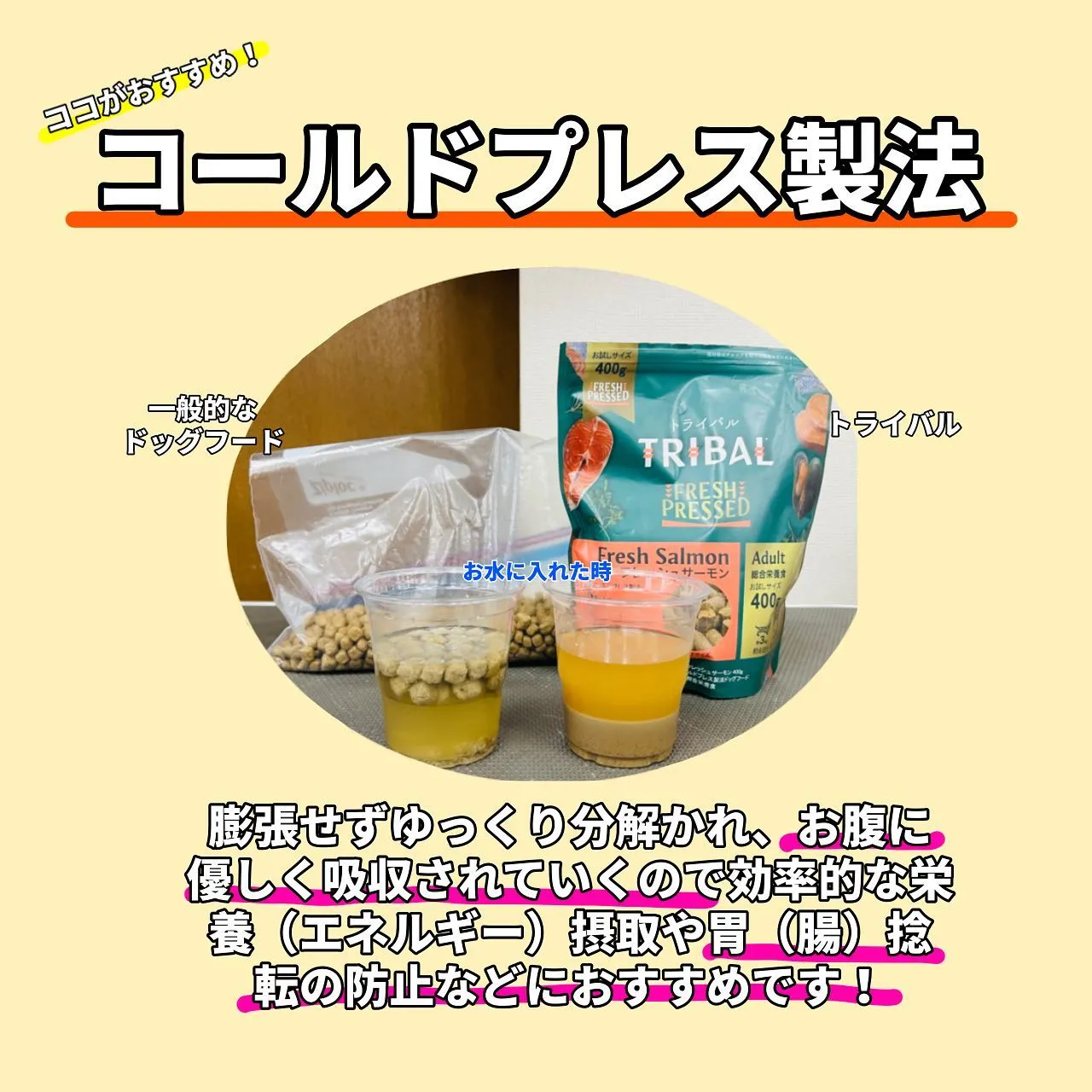 ドッグフード ！