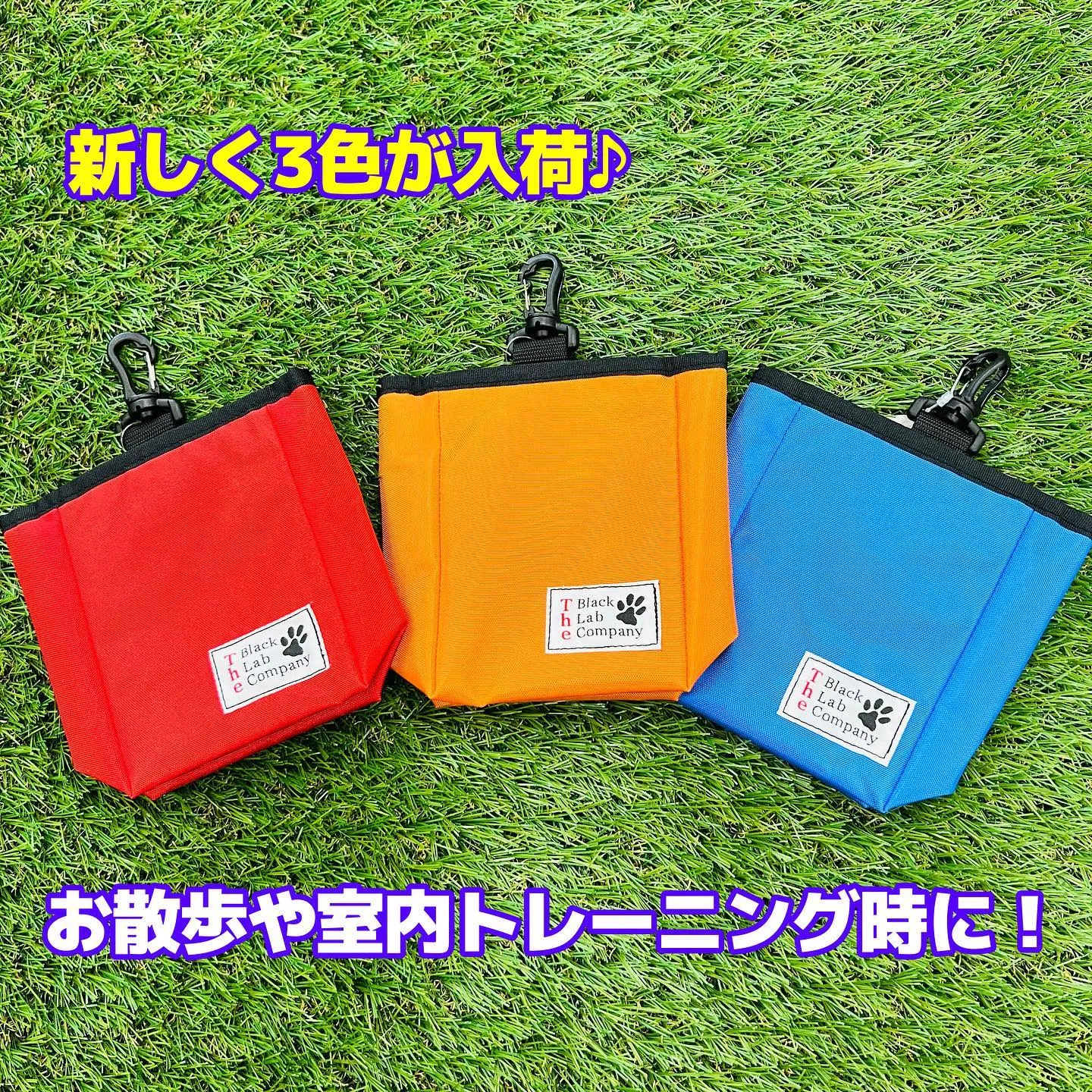 トレーニンググッズ🐶🐾