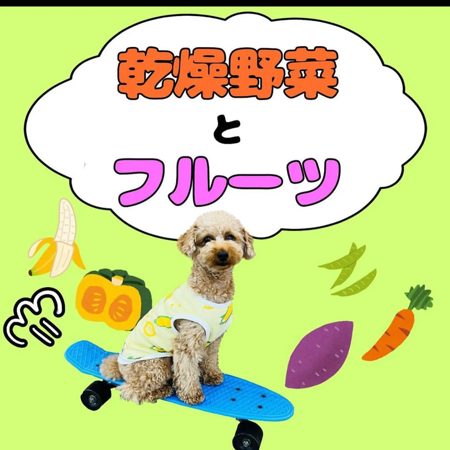 わんこのおやつ🐾