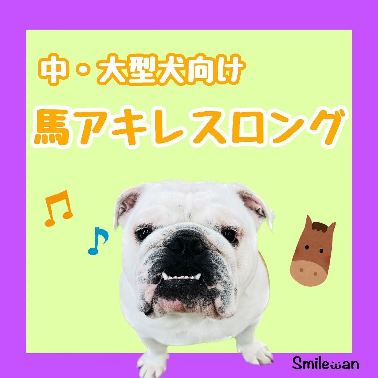 中型・大型犬におすすめおやつ🐾