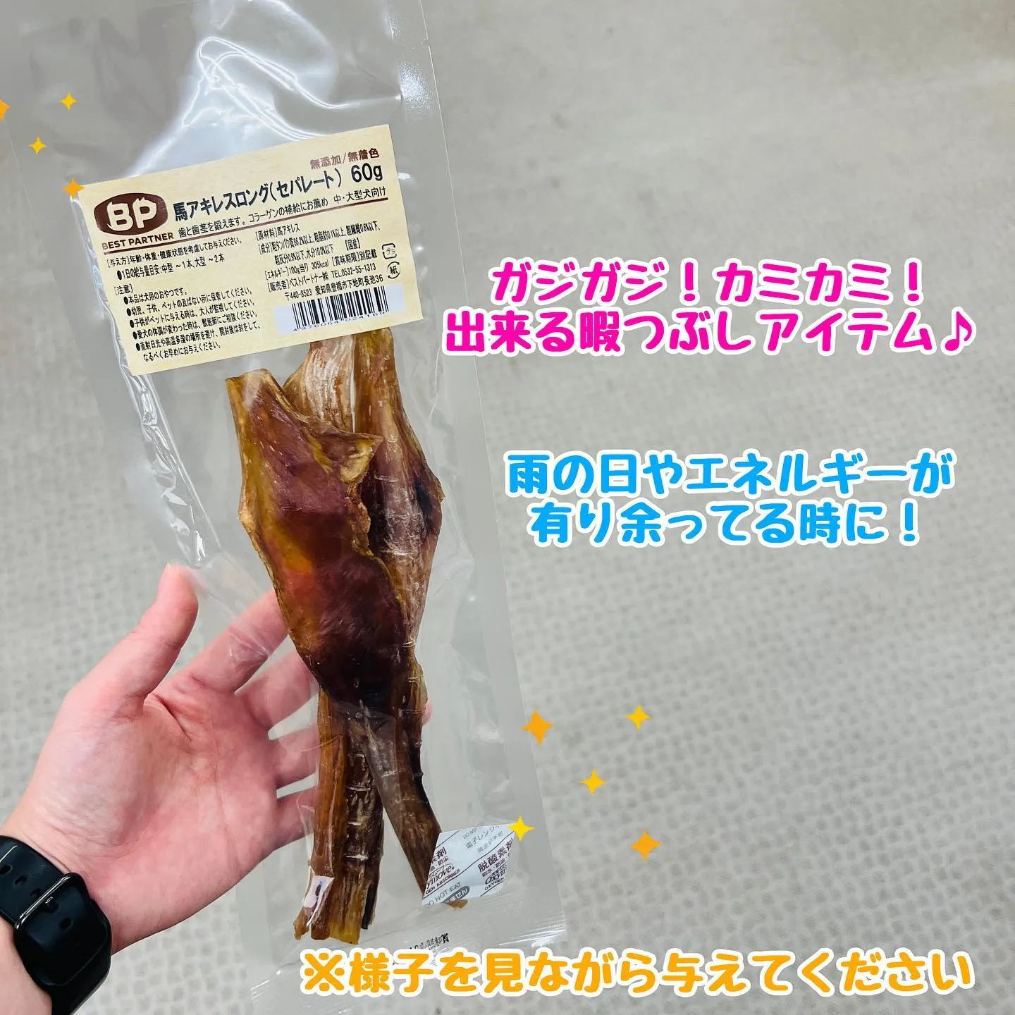 中型・大型犬におすすめおやつ🐾